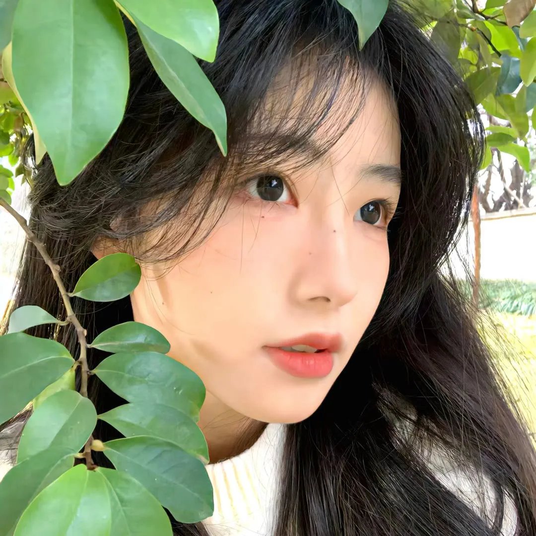 巴瑞第四季