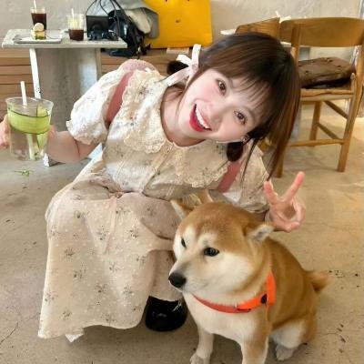 欧若拉之晨